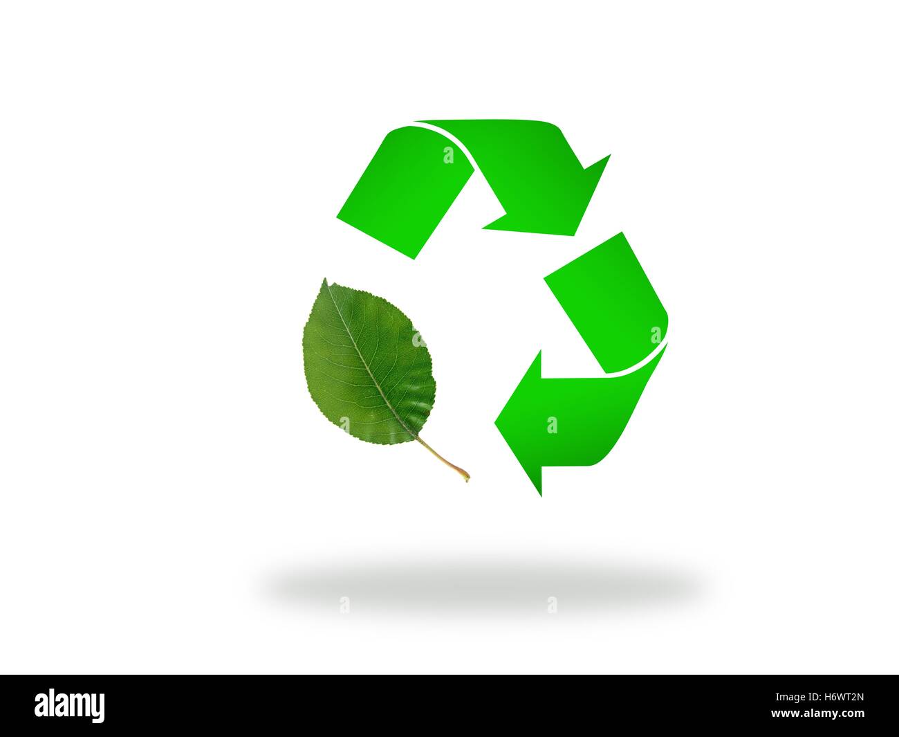 Foglia ambiente ambiente modello di colori progetto design concept bozza del piano di alimentazione di energia elettrica di potenza elettrica in verticale Foto Stock