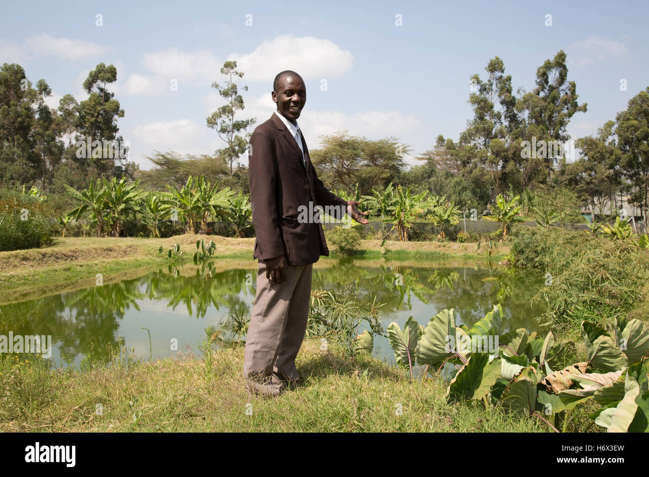 L'uomo africano da stagno di pesci nella zona umida costruito Longonot Orticoltura Naivasha Kenya Foto Stock