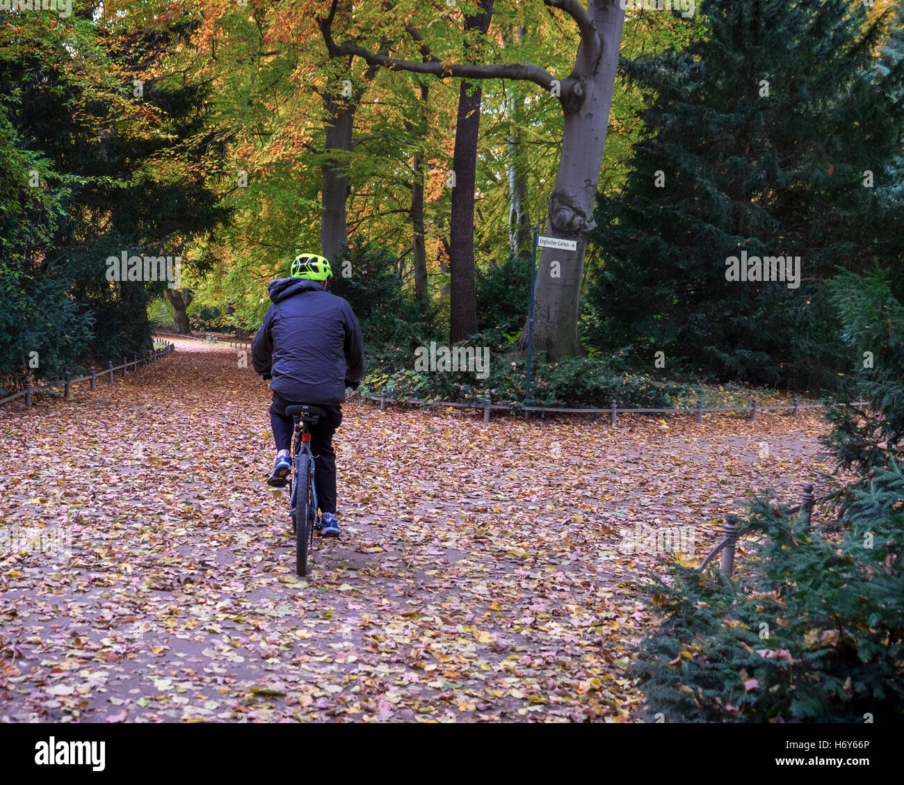Berlino parco Tiergarten. Maschio Senior ciclista sulla bicicletta e foglie di autunno sul terreno e alberi autunnali Foto Stock