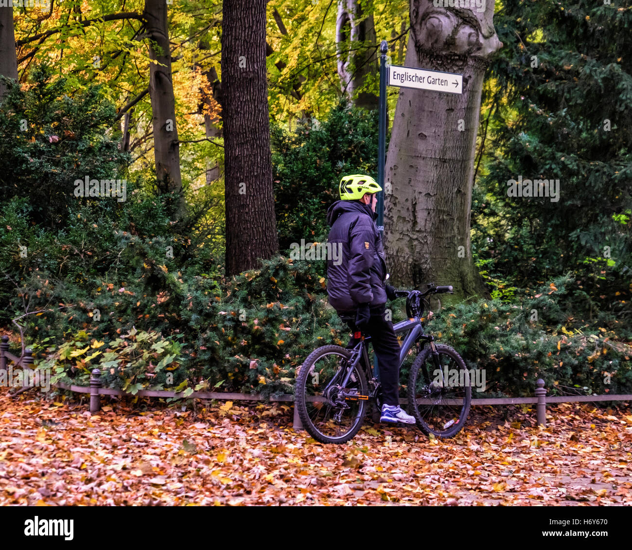 Berlino parco Tiergarten. Maschio Senior ciclista sulla bicicletta e golden Foglie di autunno sul terreno e alberi autunnali Foto Stock