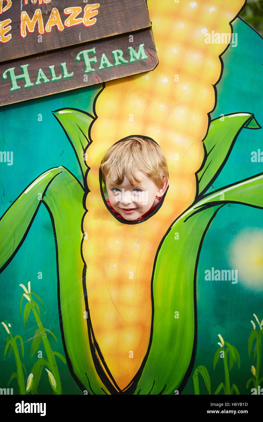 Kenyon hall farm labirinto segno granturco foro testa attraverso pop bambino piccolo ragazzo cerchio di testa attraverso il tutolo di mais artwork tagliato fuori la guerra Foto Stock