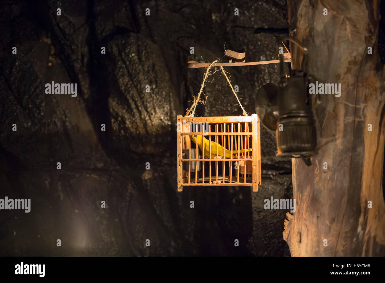 Denver, Colorado - un display di un canarino in una miniera di carbone a livello nazionale Mining Hall of Fame e il museo. Foto Stock