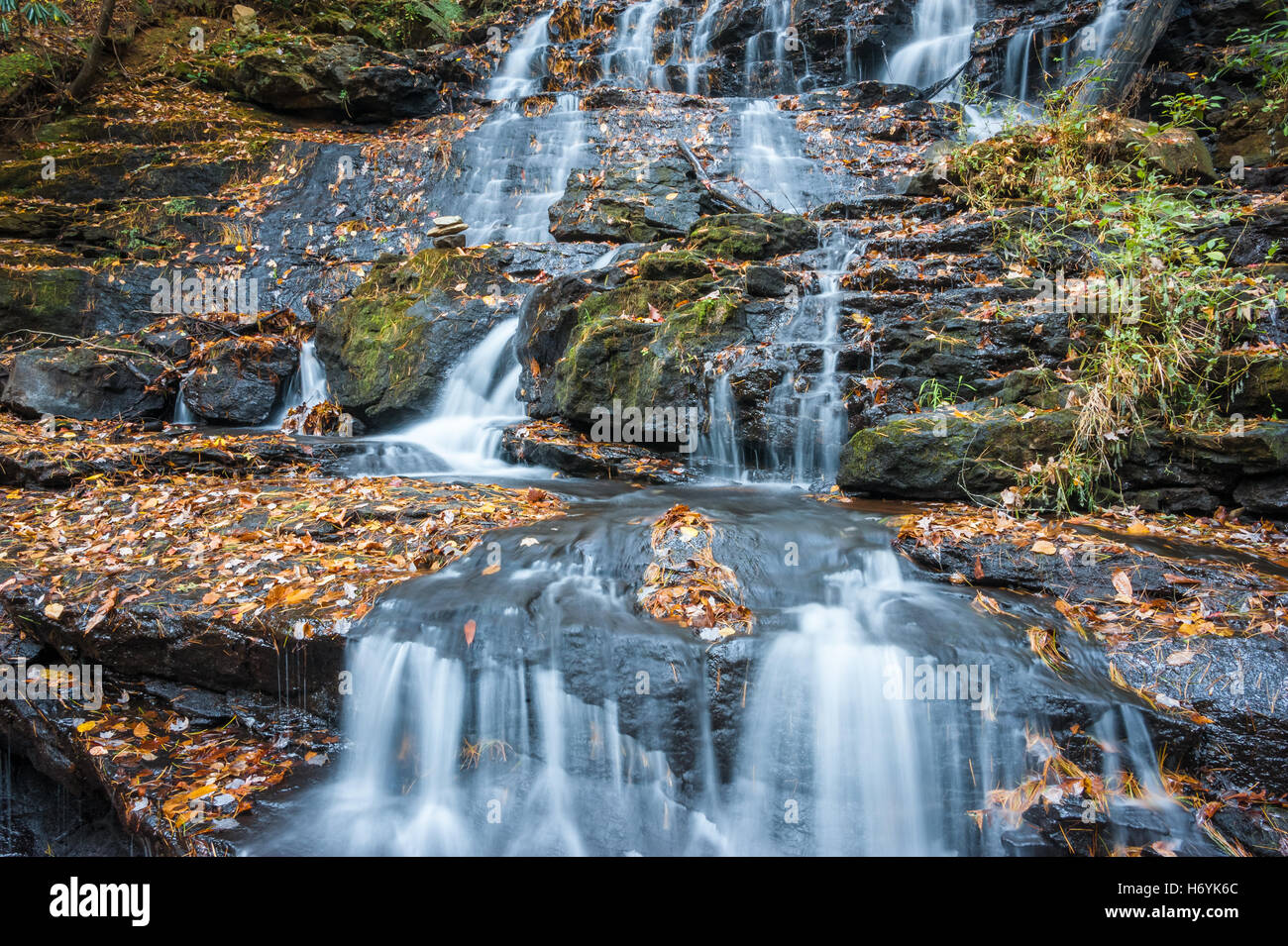Foglie di autunno decorare bella Trahlyta cade a Vogel State Park in Blue Ridge Mountains del North Georgia, Stati Uniti d'America. Foto Stock