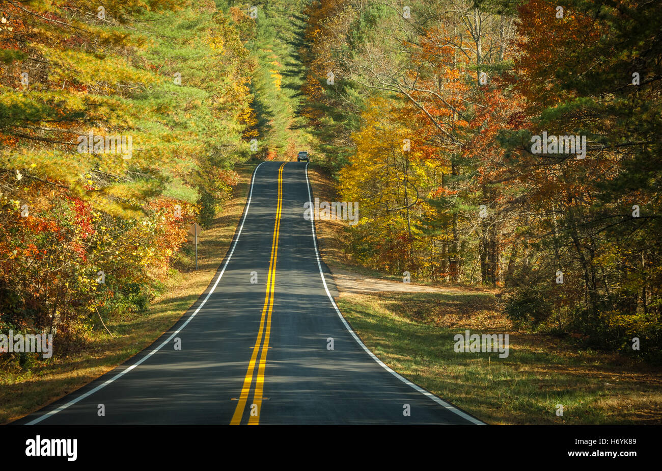 Autunno bello guidare su Russell-Brasstown Scenic Byway nazionale Scenic Byway in Georgia Blue Ridge Mountains. (USA) Foto Stock