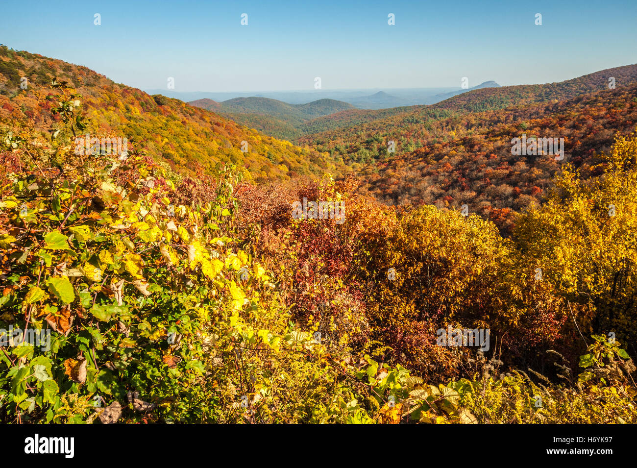 La vibrante colore di autunno nel nord-est della Georgia la Blue Ridge Mountains lungo il Richard B. Russell Scenic Highway. Foto Stock