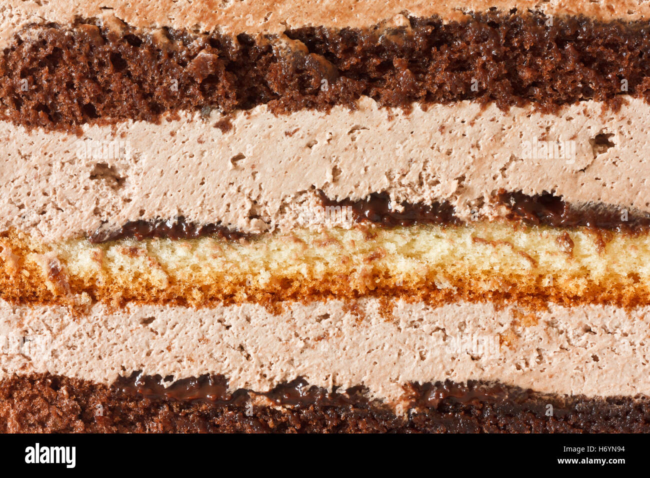 Layered torta al cioccolato dettaglio come sfondo Foto Stock