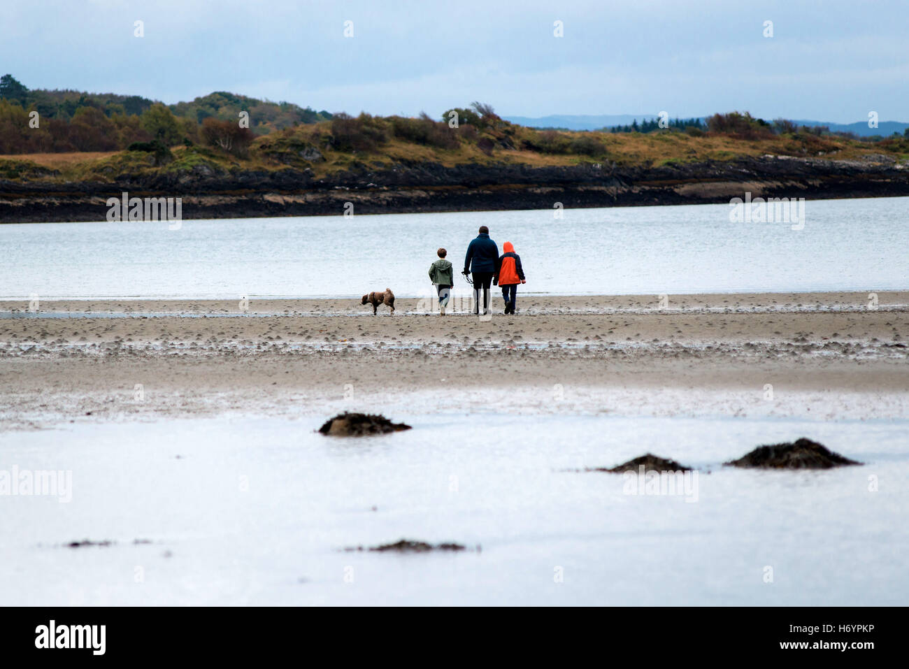 Famiglia cane a camminare sulla spiaggia in autunno Foto Stock