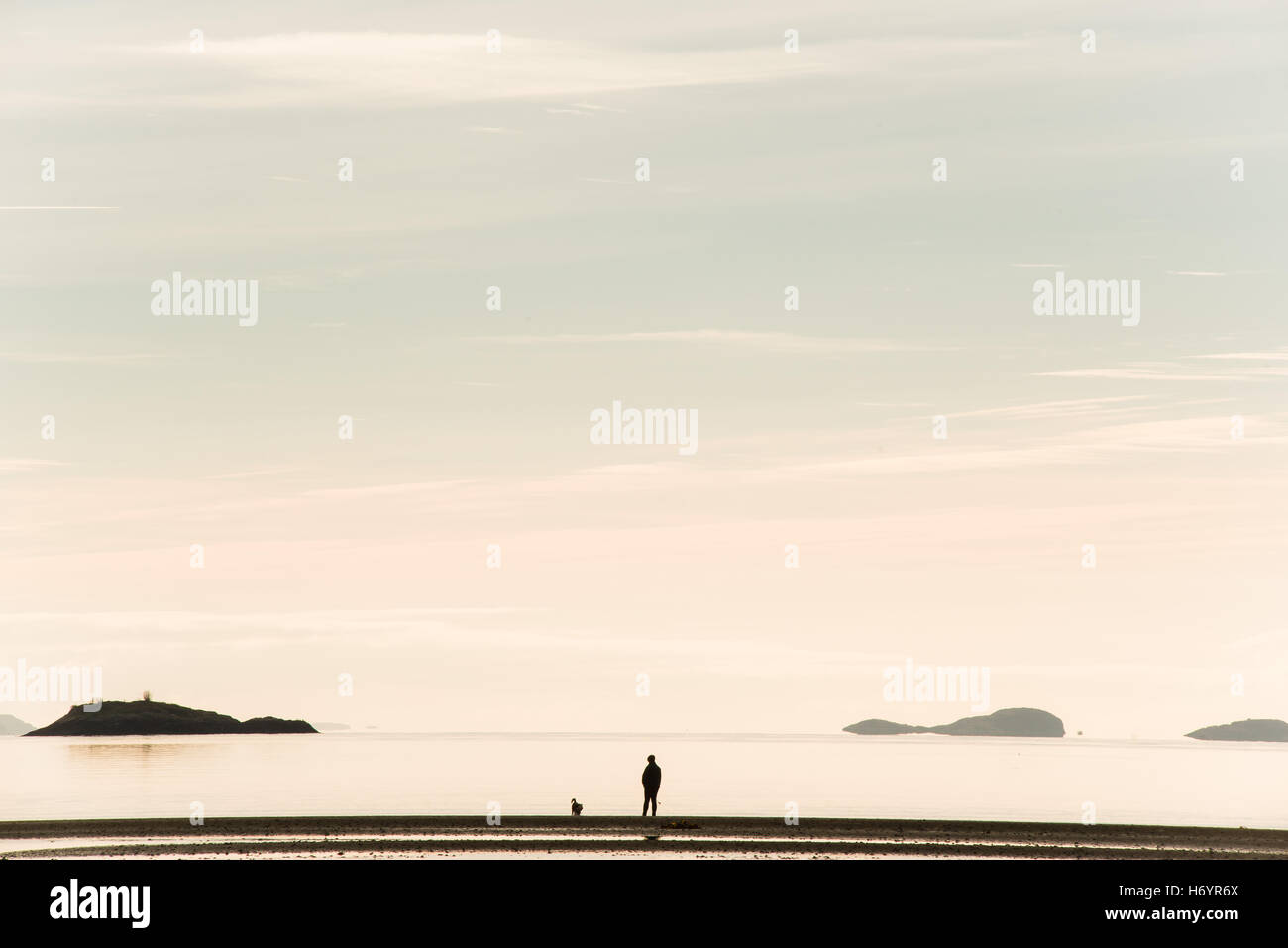 Persona e silhouette di cani sulla spiaggia con grandi sky vicino a Port Appin, SCOZIA Foto Stock