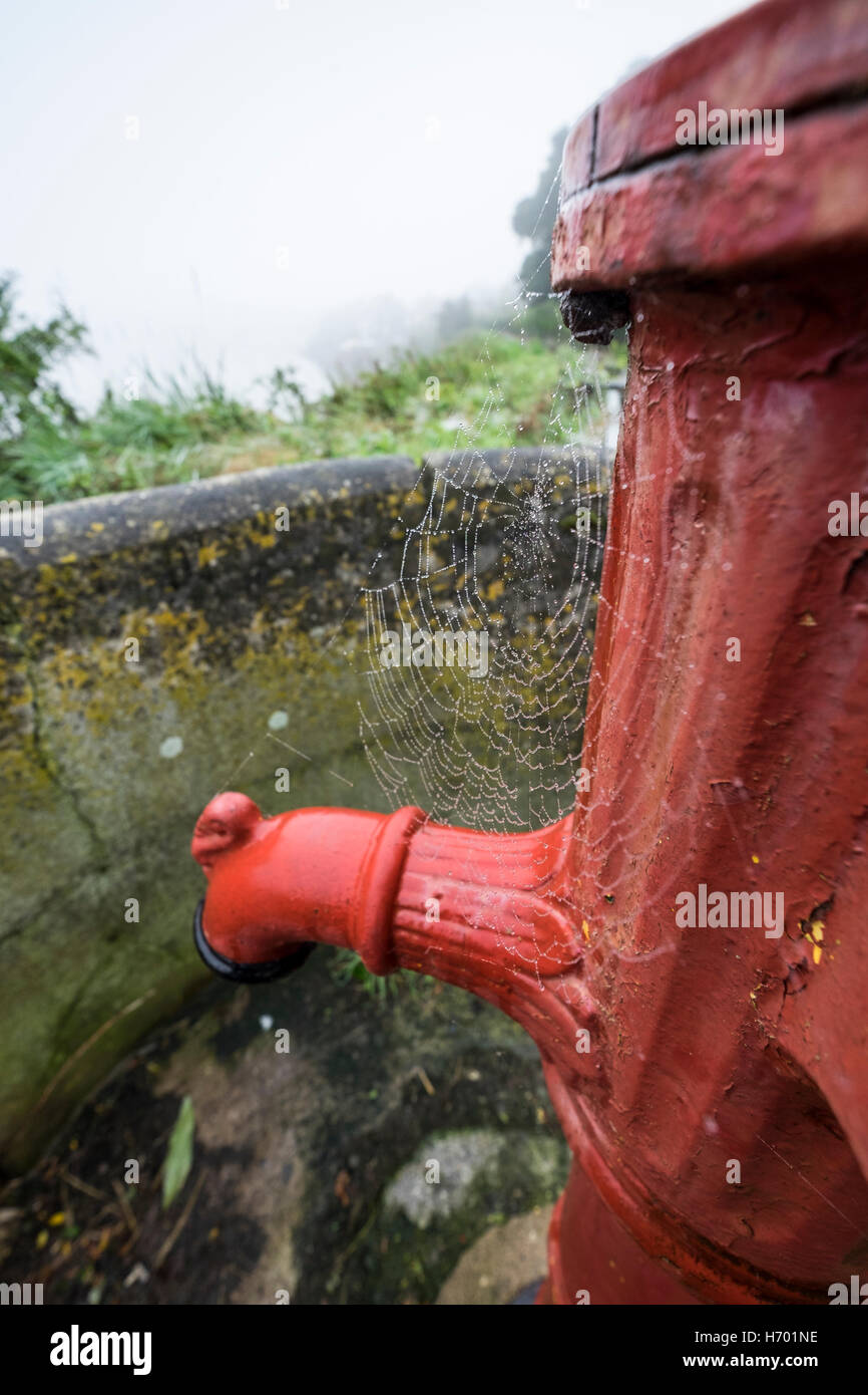 Gocce di acqua su un ragni ragnatela su una vecchia pompa acqua, Scilly a piedi, Kinsale, Cork, Irlanda Foto Stock