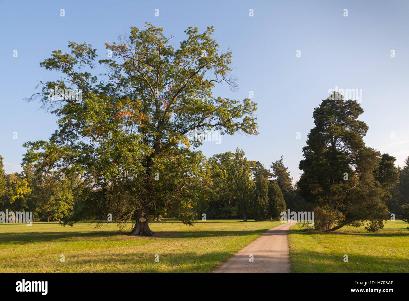 Gartenreich Dessau-Wörlitz, Germania Foto Stock