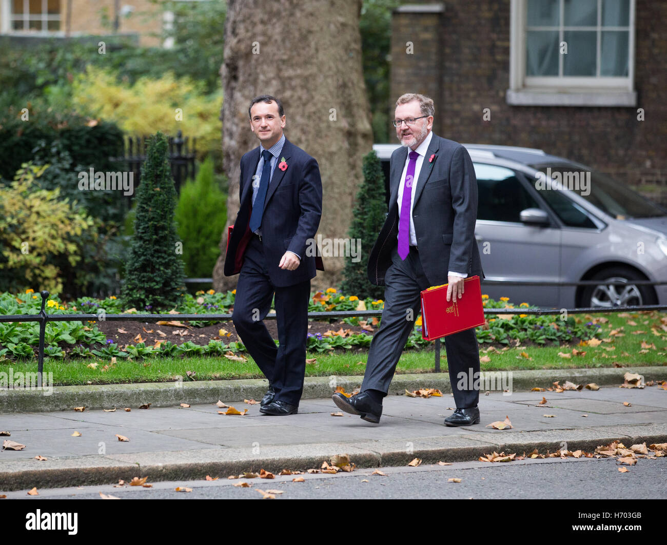 David Mundell,Scozia segretario,e Alun Cairns,Galles segretario, arrivare a Downing Street per una riunione del gabinetto Foto Stock