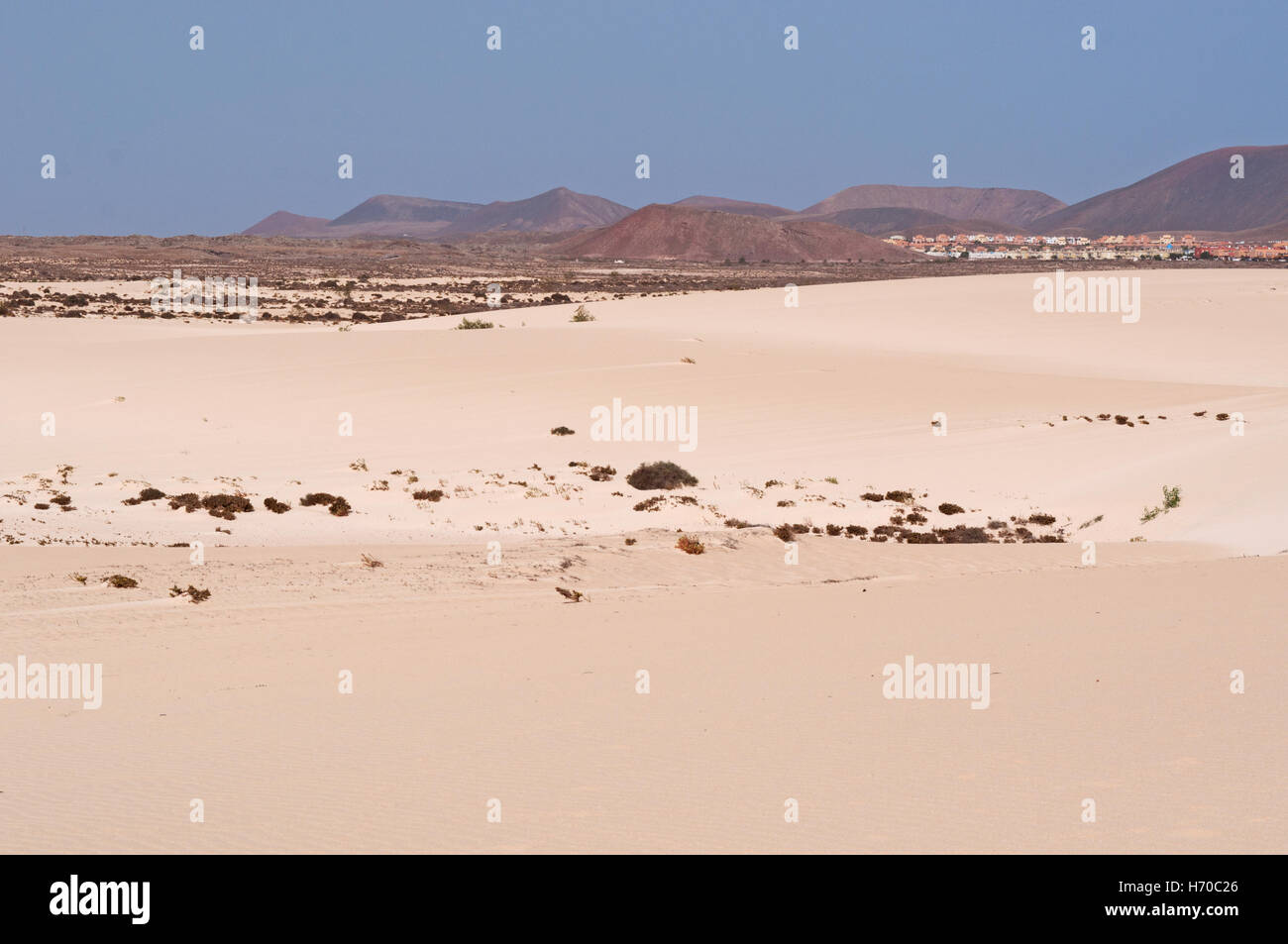 Fuerteventura Isole Canarie: il deserto e le dune di sabbia del parco nazionale in Corralejo Foto Stock