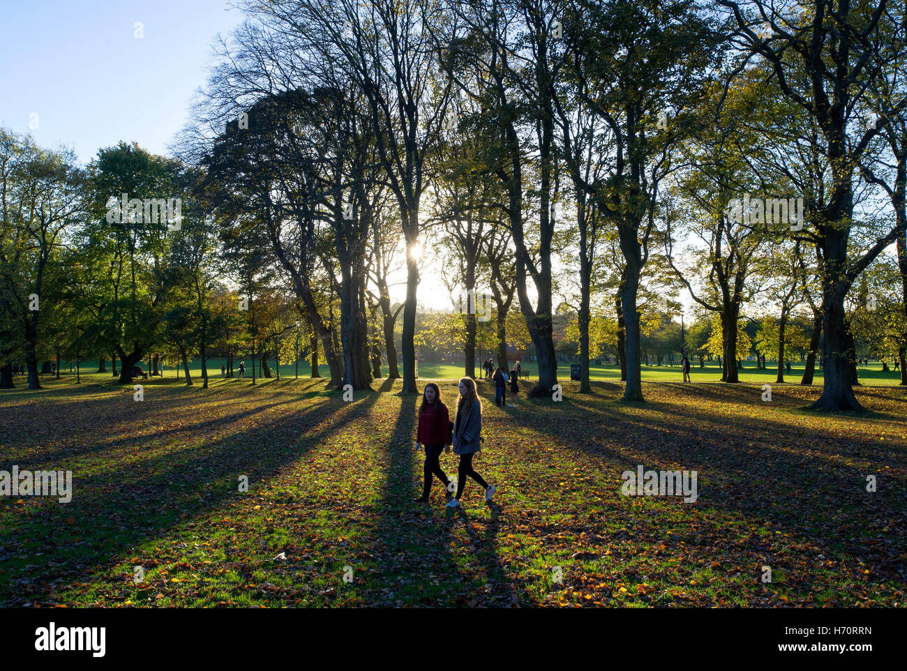 I Prati, Edimburgo, Scozia, gli studenti a piedi attraverso i prati come la luce del sole autunnale gettato ombre lunghe attraverso gli alberi. Foto Stock