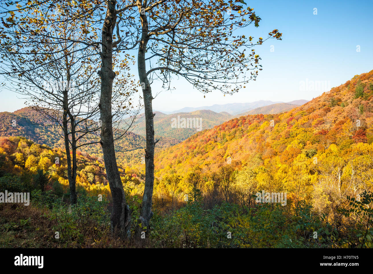 Vista vibrante di autunno tra le Blue Ridge Mountains lungo la Georgia Richard B. Russell Scenic autostrada vicino l'Appalachian Trail. Foto Stock