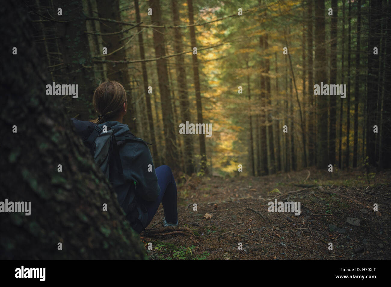 La ragazza di Foresta Magica Foto Stock