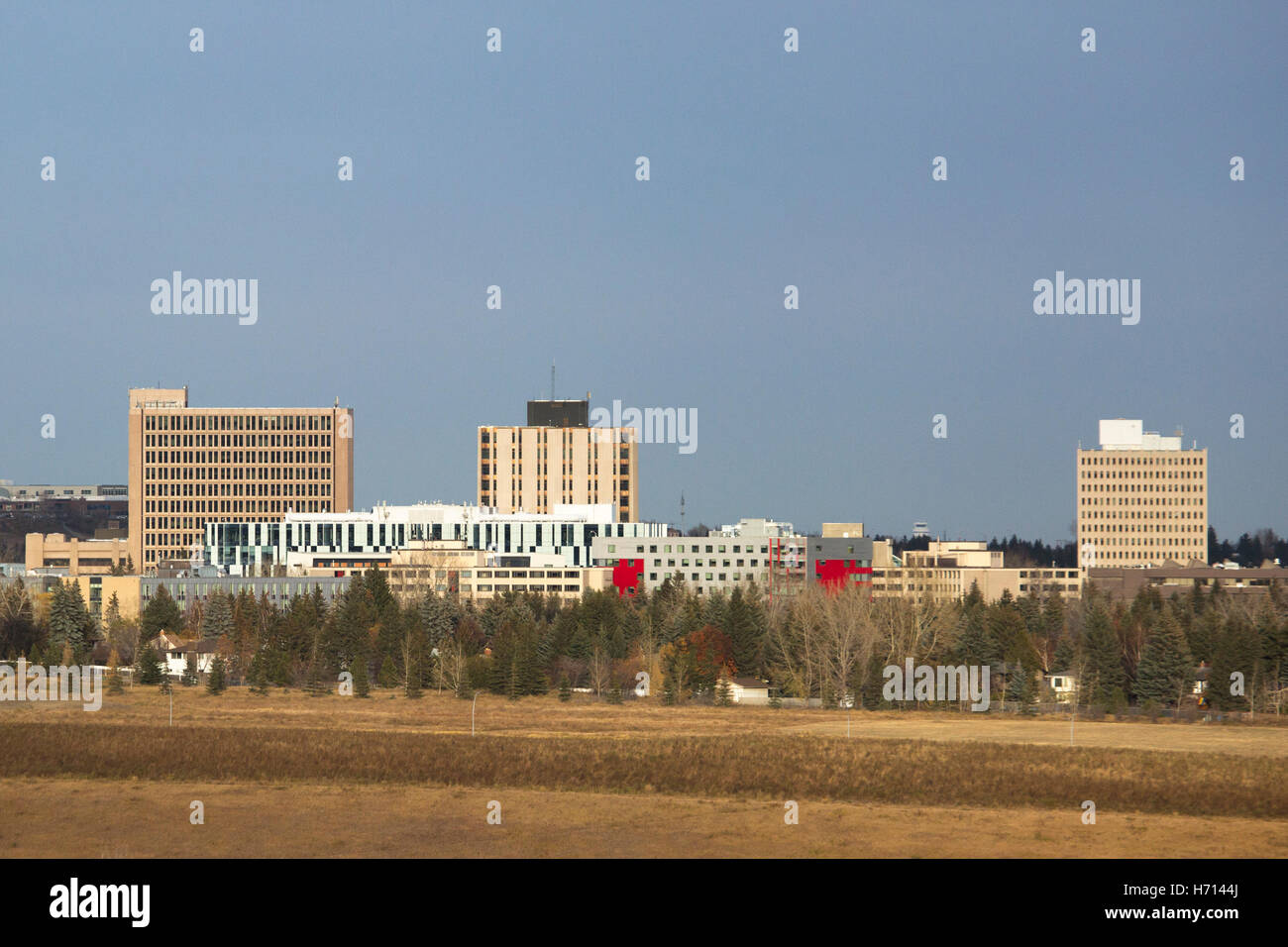 Università di Calgary campus Foto Stock