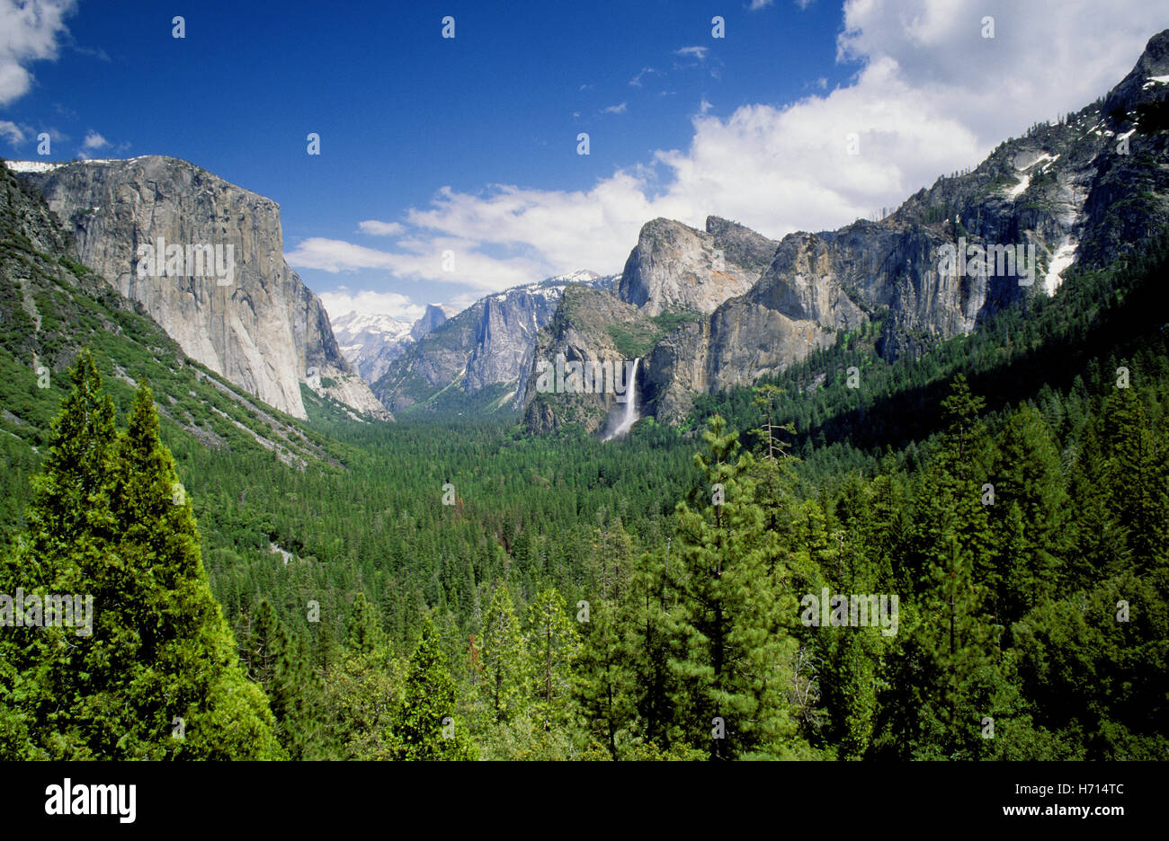 Parco nazionale di Yosemite in California Foto Stock