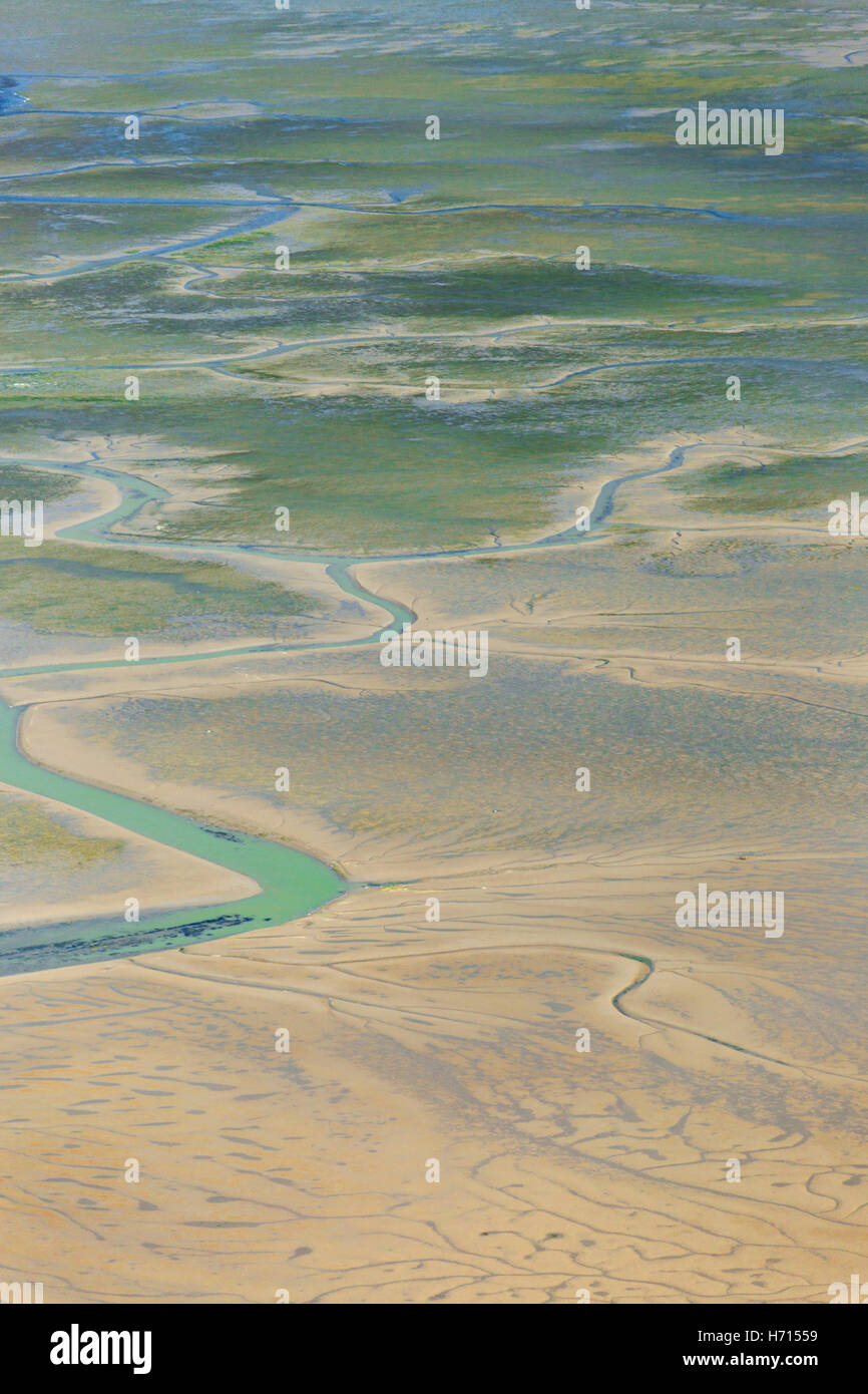 Tidal flats Skagit County Foto Stock