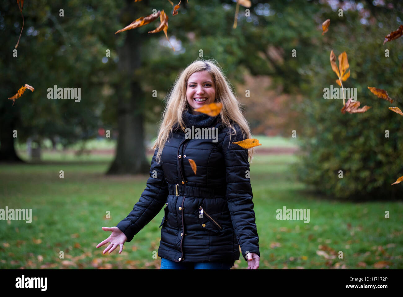 I colori autunnali a Westonbirt, Inghilterra, Sud Est. Gamma di colori caldi da Rossi e toni di colore arancione attraverso più luminoso giallo. Foto Stock
