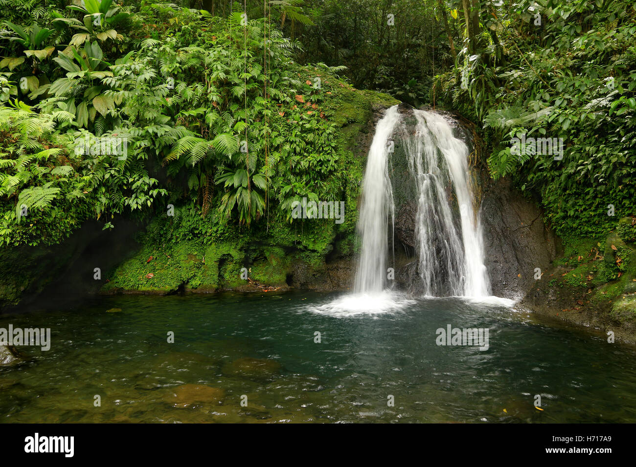 Bella cascata in una foresta pluviale. Cascades aux Ecrevisses, Guadalupa, Isole dei Caraibi, Francia Foto Stock
