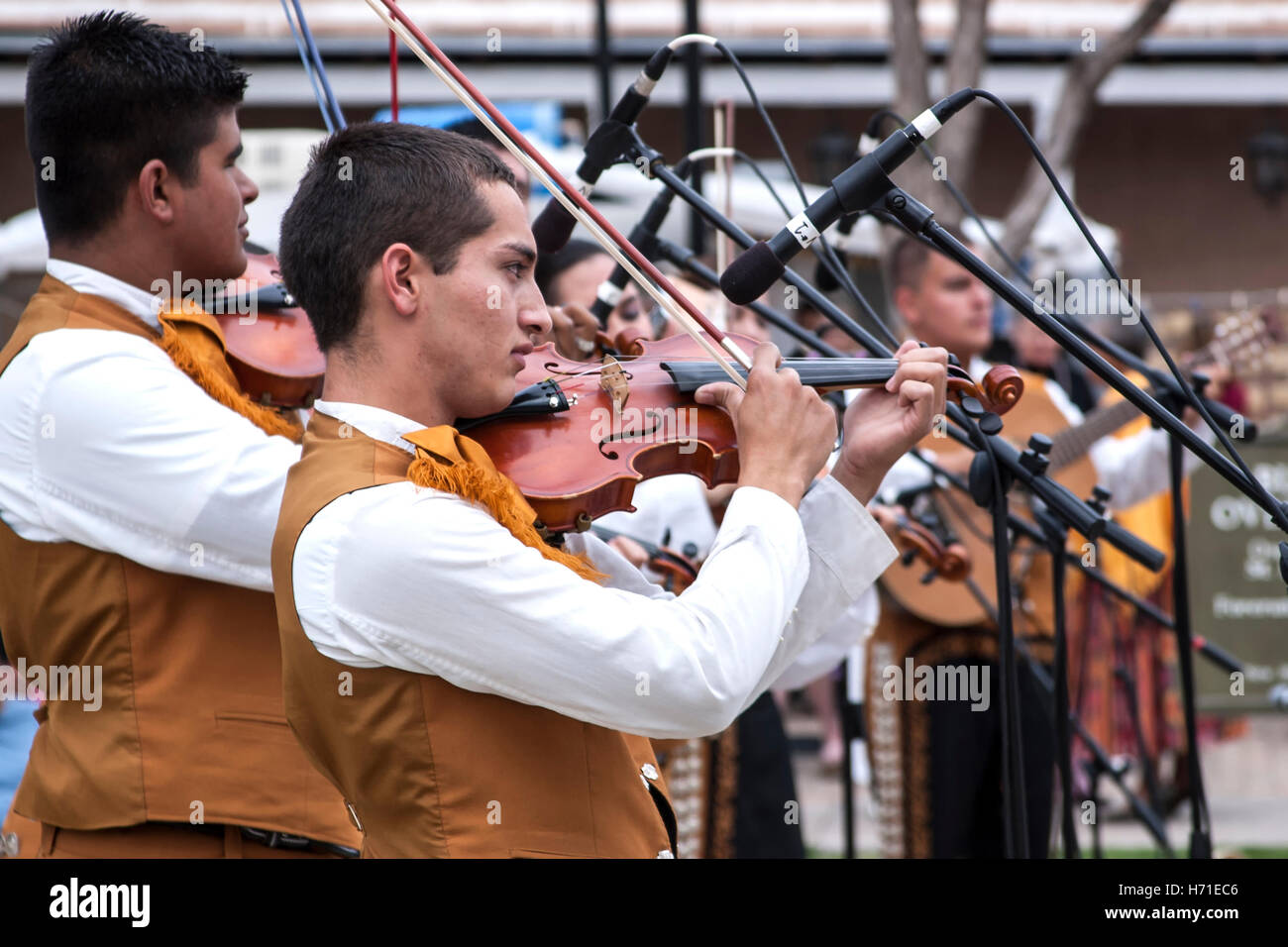 Banda Mariachi violino giocatori, Dieciseis de Septiembre, il giorno dell indipendenza messicana (simile al Cinco de Mayo), Old Mesilla Plaza, Nuovo Messico USA Foto Stock