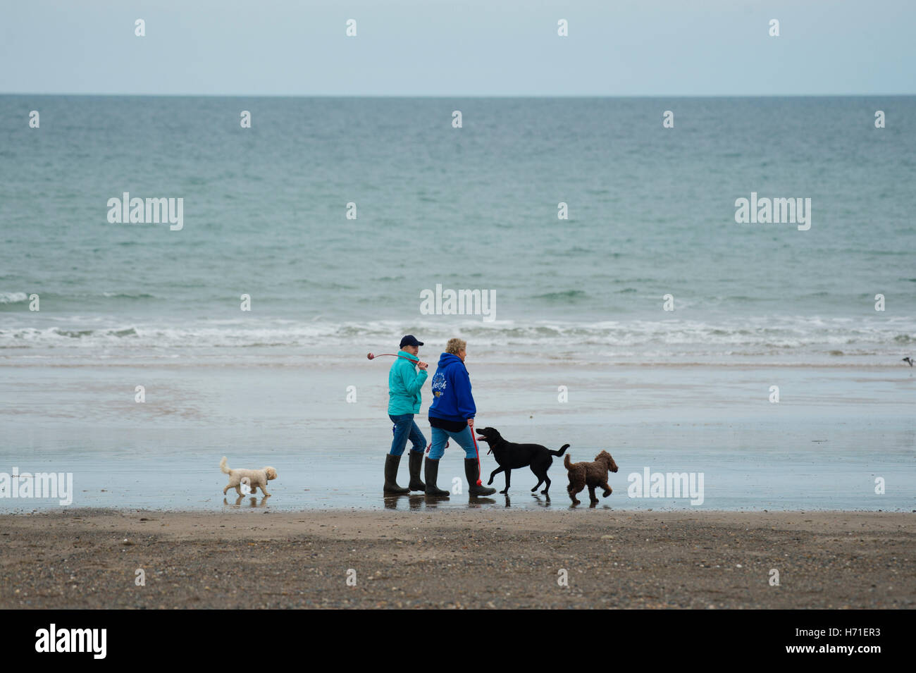 Due donne a piedi i loro cani su Hell's Mouth Beach (Porth Neigwl), Lleyn Peninsula, Gwynedd in Galles UKWales UK Ottobre 2016 Foto Stock