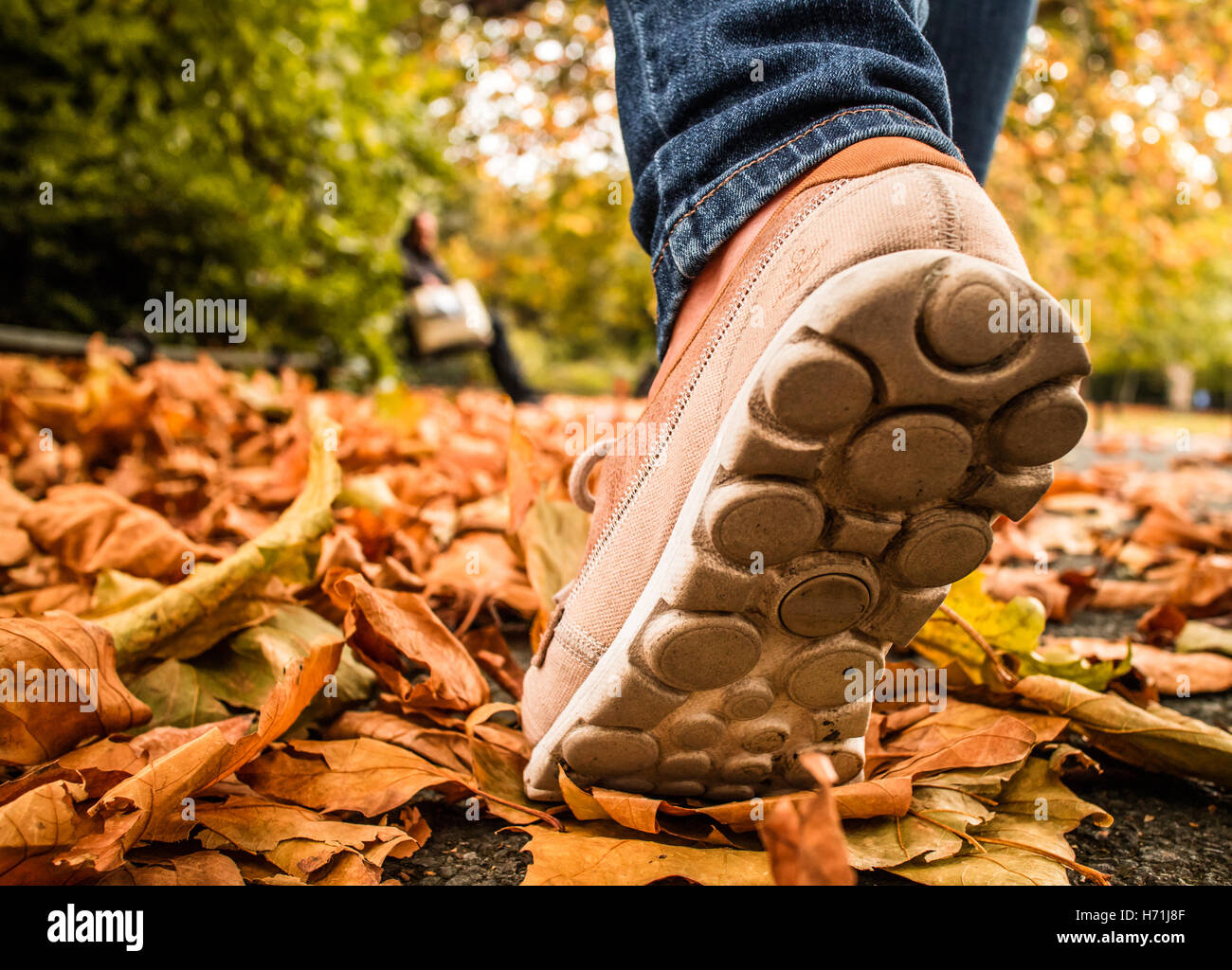 Parte posteriore basso angolo vista di una donna che cammina verso il basso una foglia percorso coperto in autunno. Foto Stock