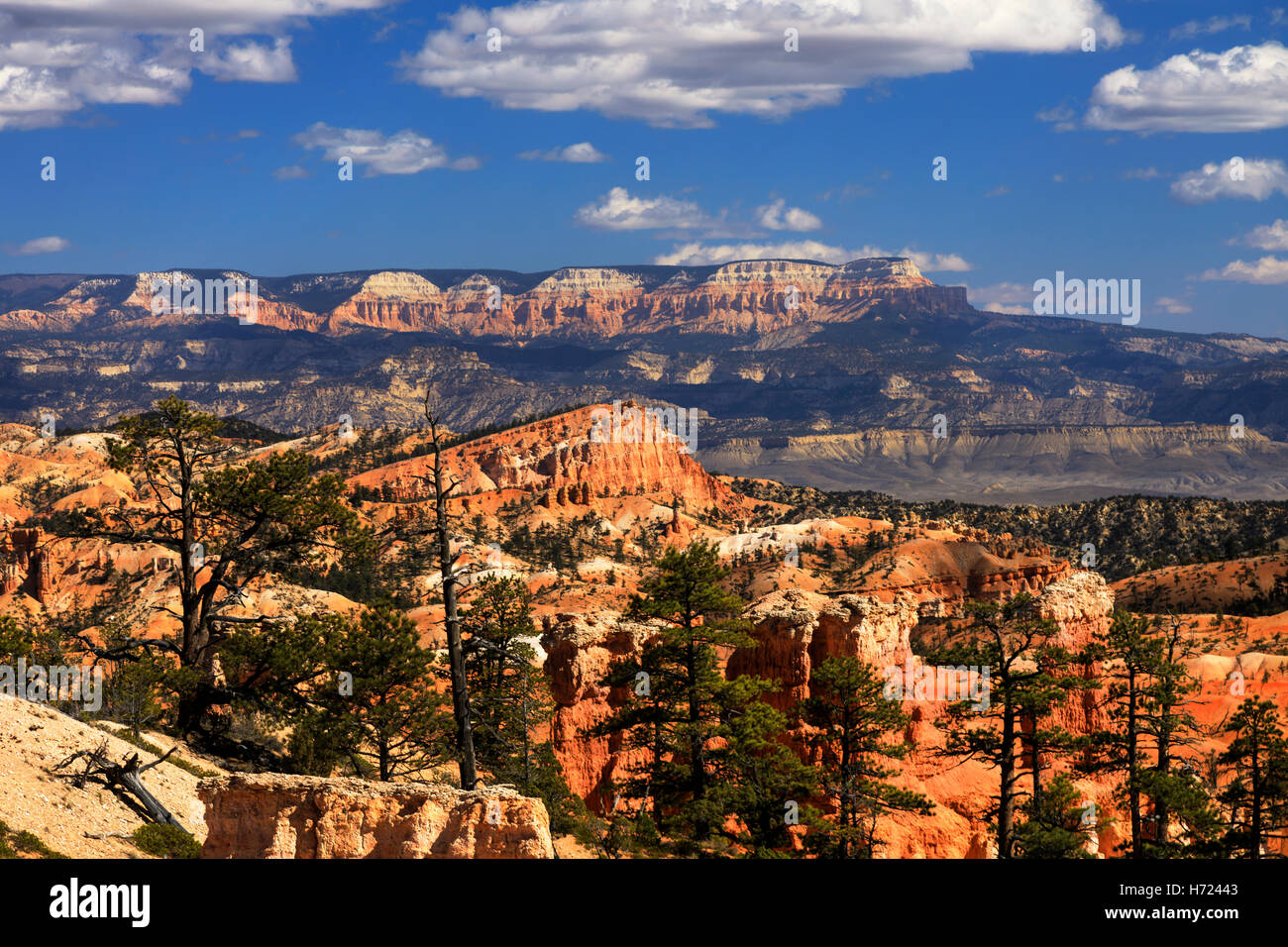 La formazione terrestre conosciuta come il naufragio della nave come si vede dal Queens Garden Trail nel Bryce Canyon National Park nello Utah Stati Uniti d'America Foto Stock