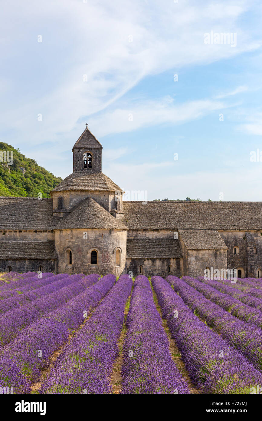 Un antico monastero Abbaye Notre-dame de Senanque ( Abbazia di Senanque). Vaucluse Francia Foto Stock