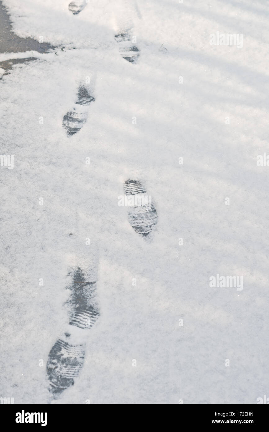 Stampe di piedi nella neve Foto Stock