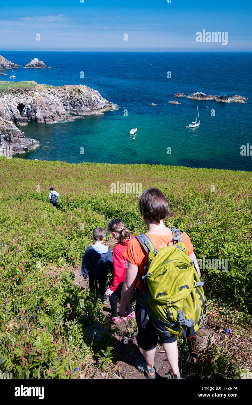 Famiglia sulla Grande Isola Saltee, County Wexford, Irlanda. Foto Stock