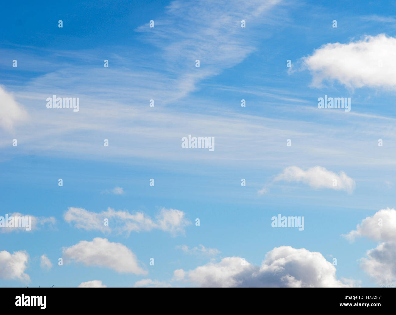 Bellezza sullo sfondo del cielo Foto Stock