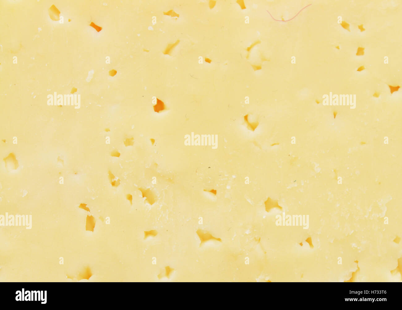 Close up di sfondo di formaggio Foto Stock