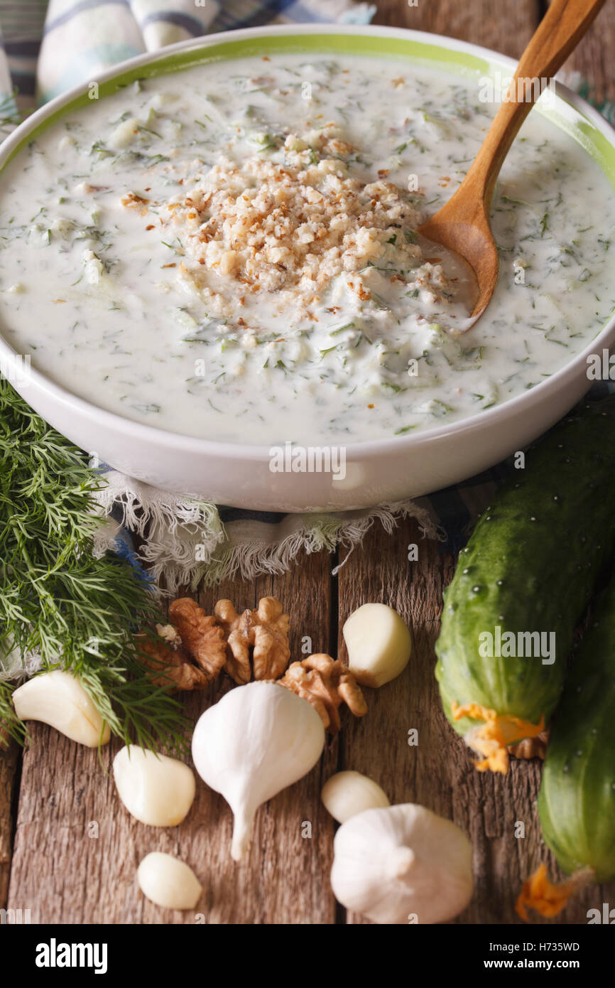 Il bulgaro zuppa fredda tarator vicino fino in una ciotola e gli ingredienti sul tavolo. In verticale Foto Stock