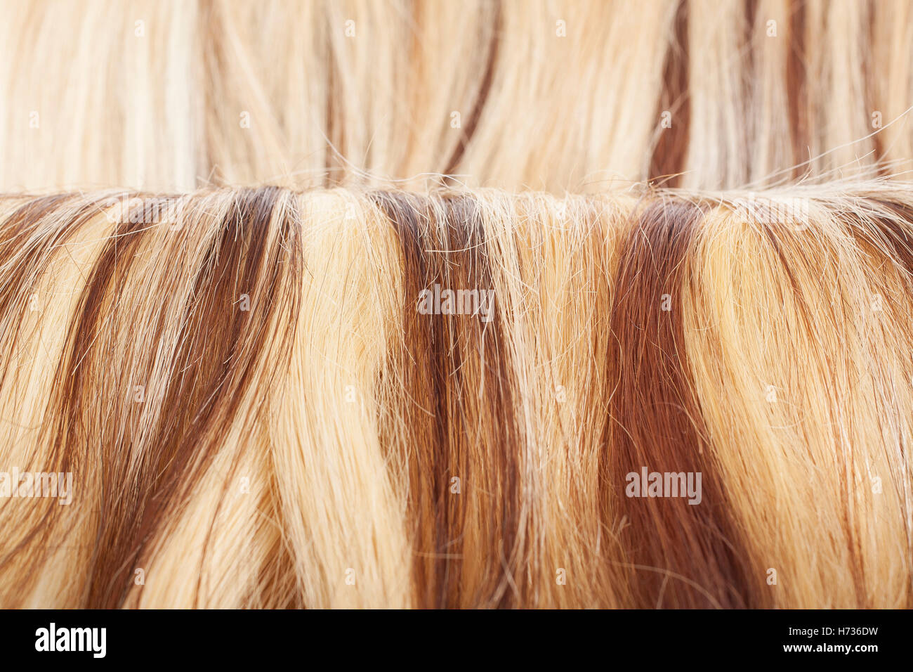 Europea di capelli umani trama di estensione. Colorata e secca di seta marrone capelli biondo chiaro rosso mescolato ombre di colori. Ricci texture diritta Foto Stock