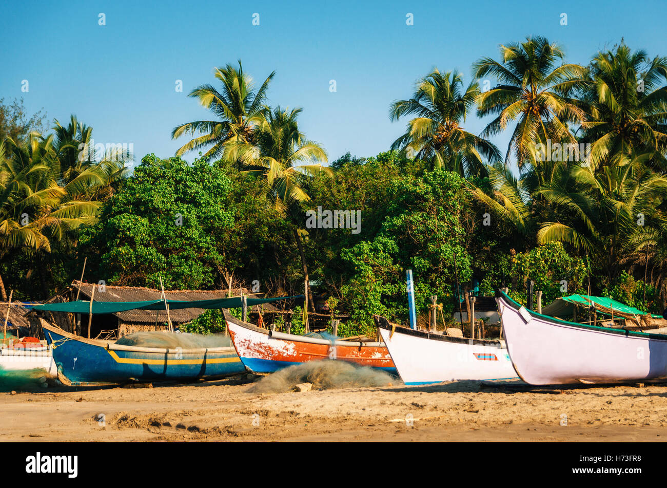 In legno barche da pesca sulla spiaggia Morjim with palme, Goa nord India Foto Stock