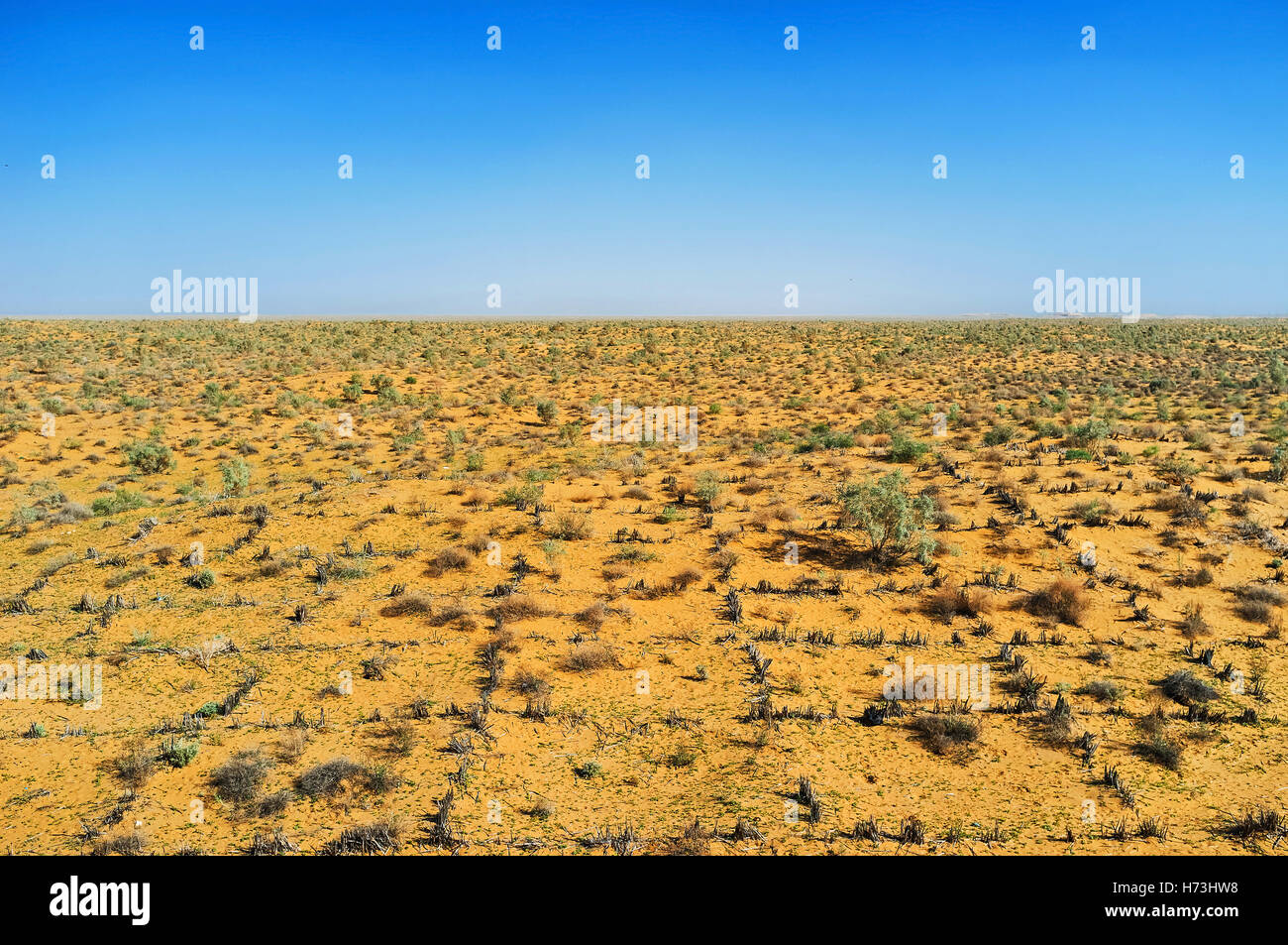Il grande deserto Kyzyl Kum situato tra Syr Darya e Amu Darya fiumi, Uzbekistan. Foto Stock