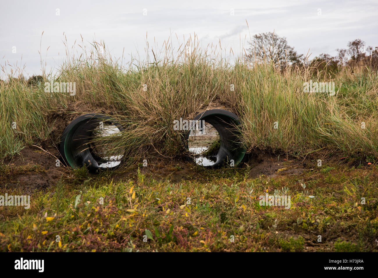 Sentiero di fortuna ponte tubo in una palude salata al punto Gibralter Riserva Naturale, Lincolnshire, Regno Unito. Foto Stock