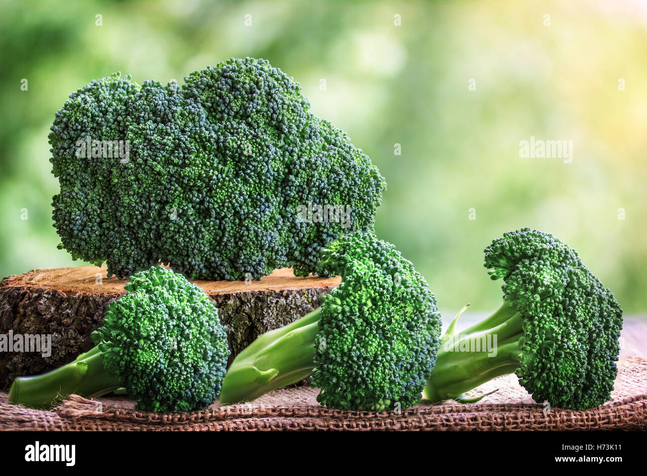Un sano verde Materie organiche cime di broccoli pronti per la cottura Foto Stock