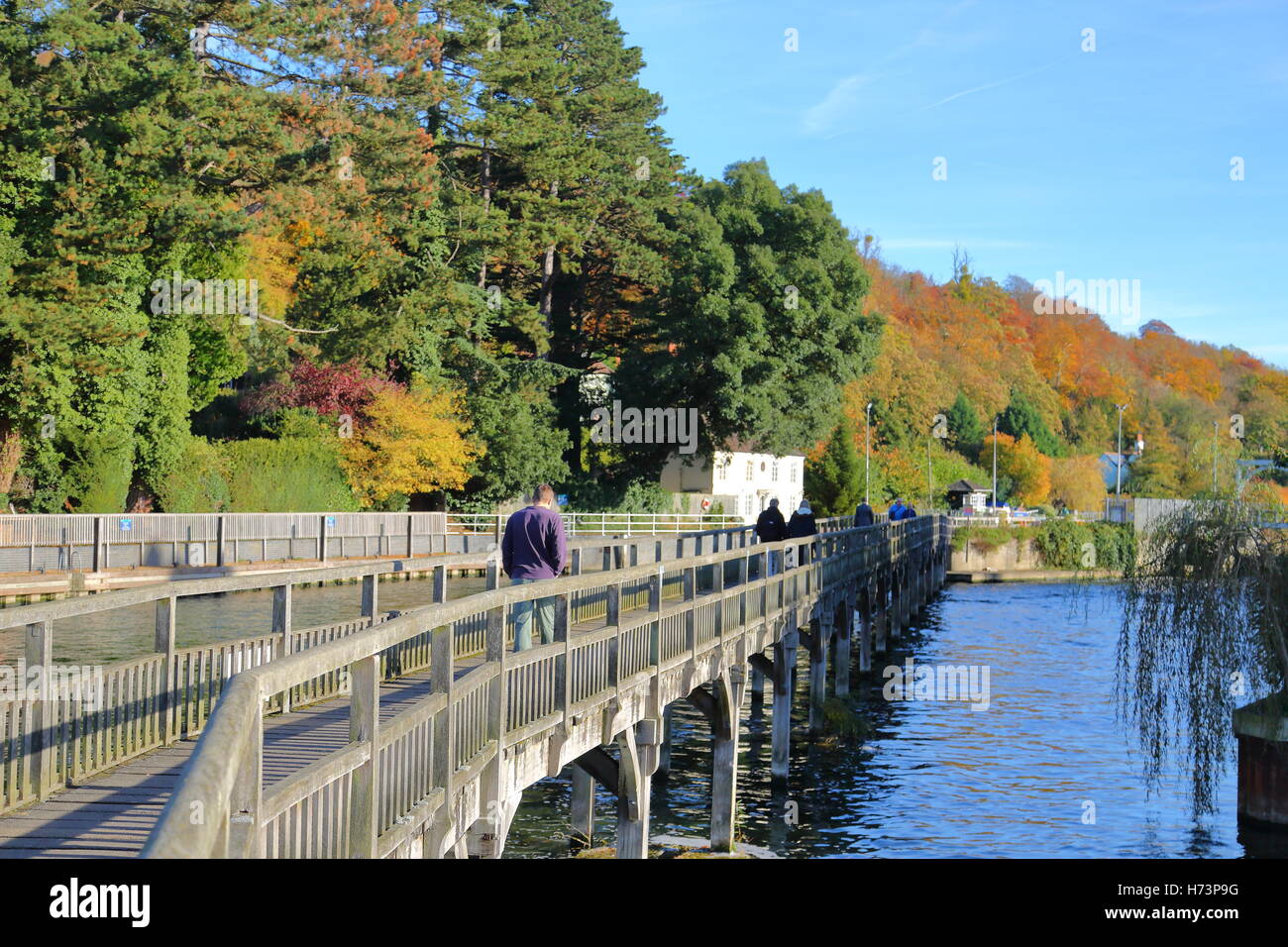 Henley-on-Thames, Regno Unito. Il 2 novembre 2016. Henley locali e visitatori e gode di un bel pomeriggio autunnale del Tamigi. Credito: Uwe Deffner/Alamy Live News Foto Stock