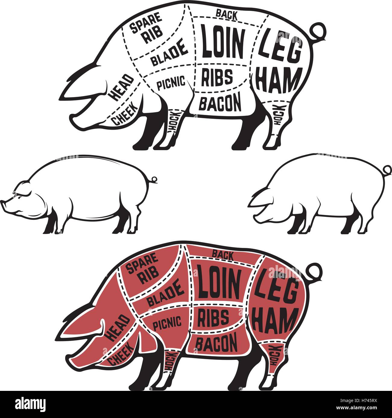 Schema di macellaio, schema e guida - tagli di carne di maiale. Set di sagome di suino isolati su sfondo bianco Illustrazione Vettoriale