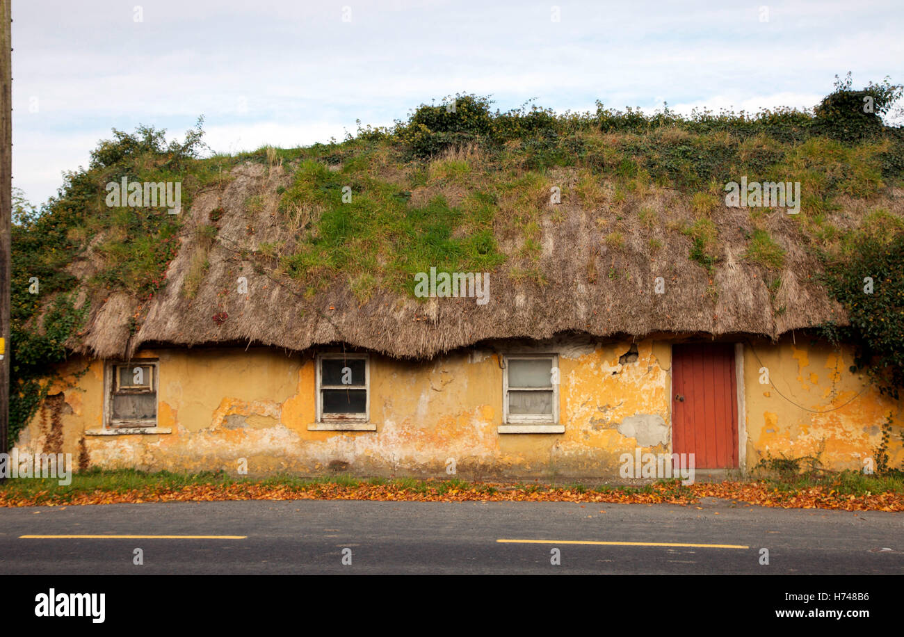 Abbandonato cottage con il tetto di paglia sulla N 21 , contea di Kerry, Irlanda Foto Stock