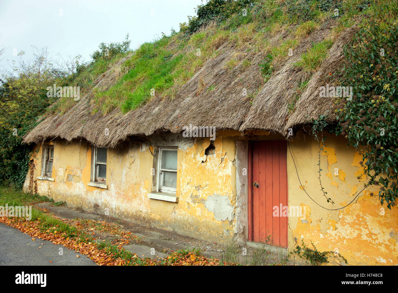 Abbandonato cottage con il tetto di paglia nella Contea di Kerry Foto Stock