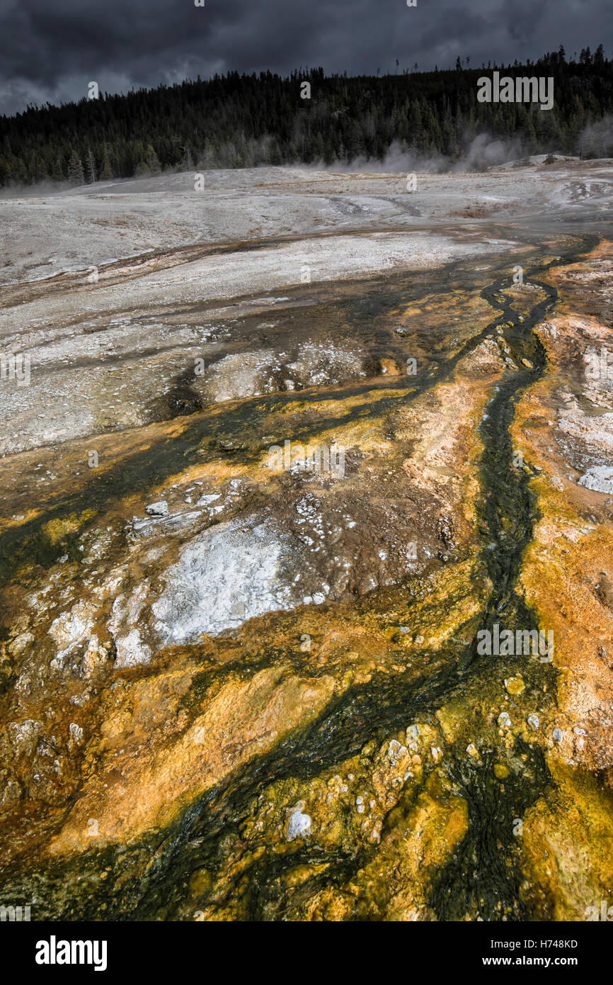 Geyser Hill - Old Faithful Geyser Basin Foto Stock