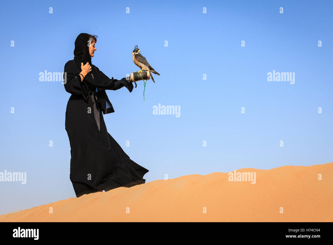 Una donna in abaya con falco pellegrino in Dubai Desert Conservation Reserve, EMIRATI ARABI UNITI Foto Stock