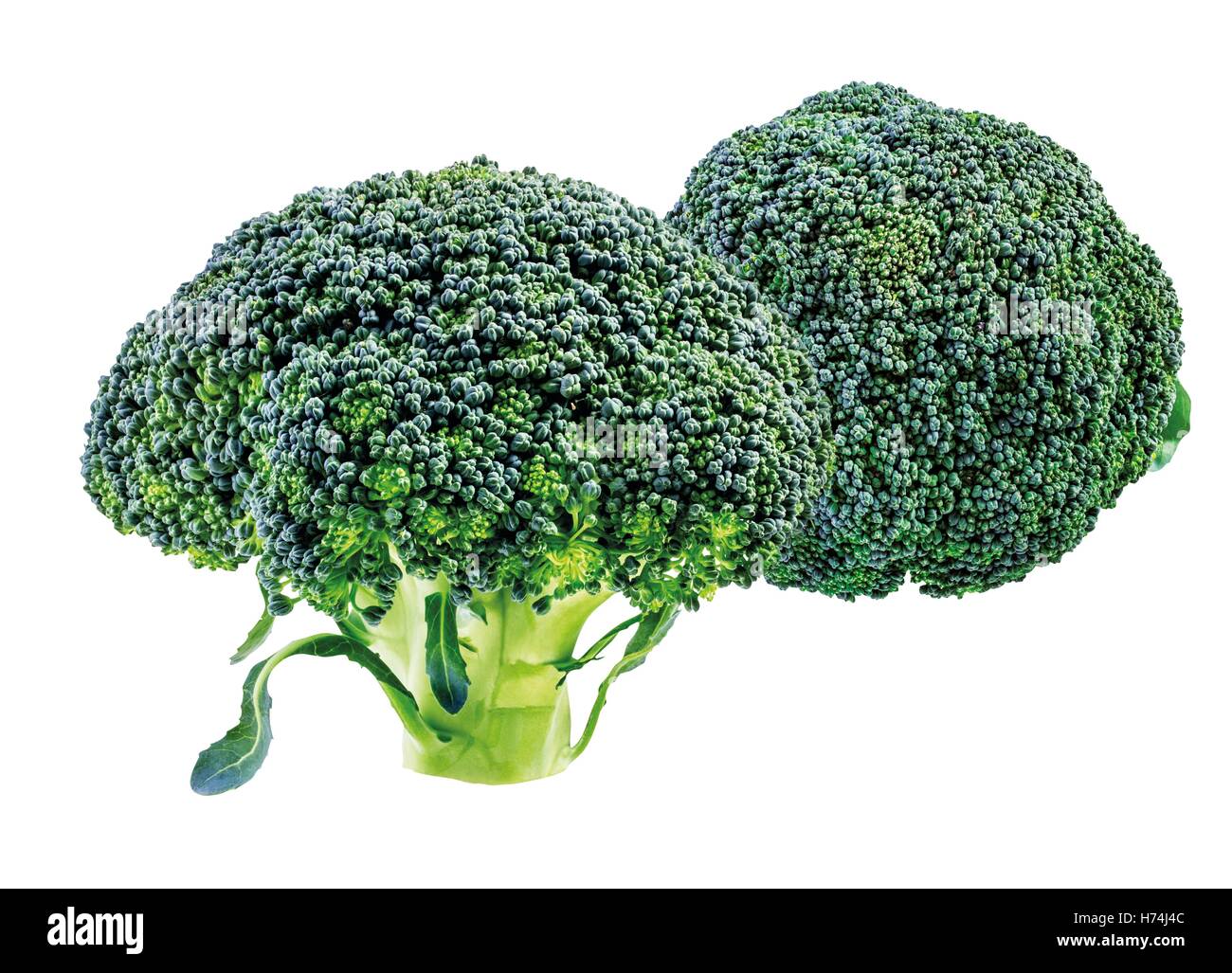 Broccoli su uno sfondo bianco. Foto Stock