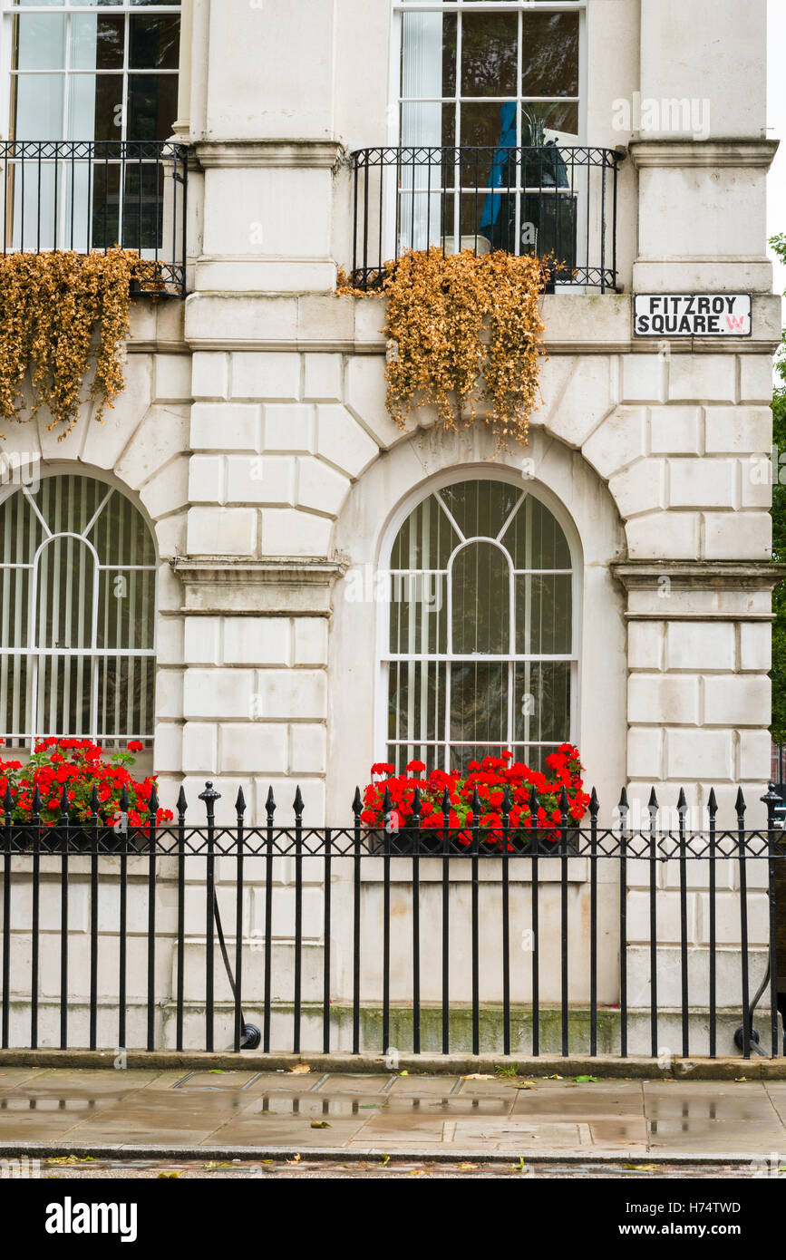 London West End se angolo Piazza Fitzroy uffici flower window box scatole di metallo nero ringhiera ringhiere Foto Stock