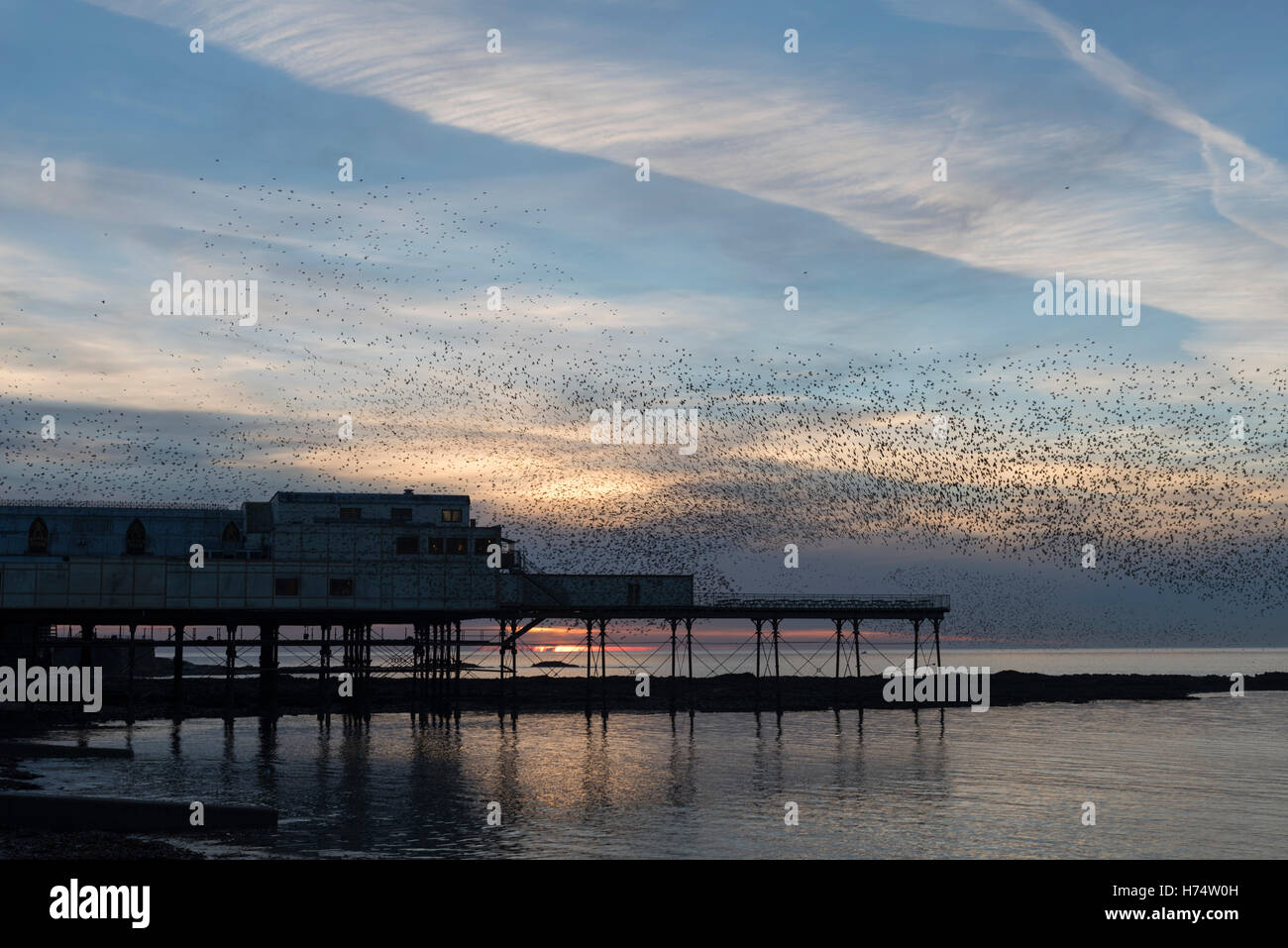 Un murmuration di storni gregge oltre il molo vittoriano risalente al 1865. Foto Stock