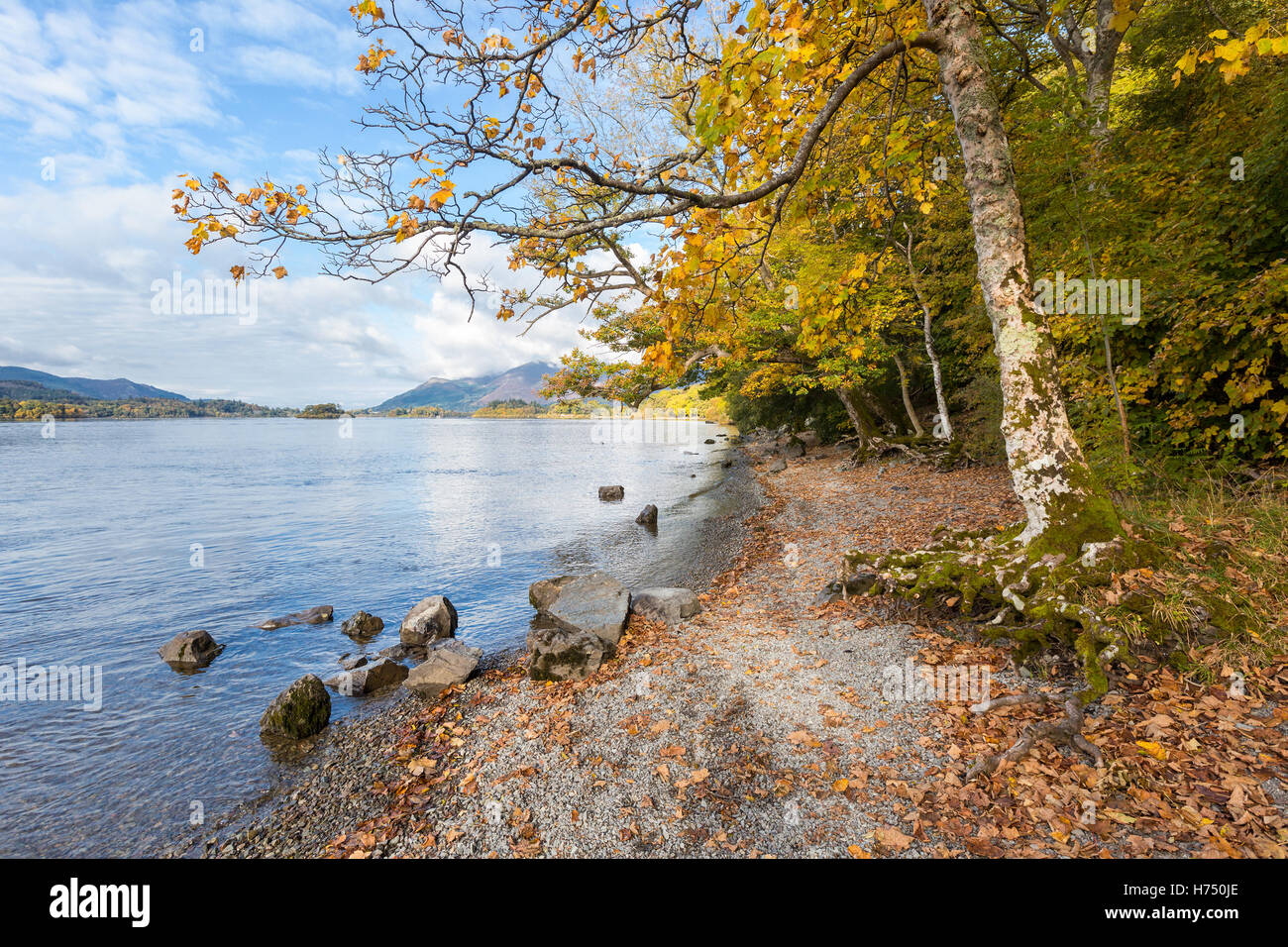 Alberi autunnali sulla riva del Derwent Water, una popolare destinazione turistica nel Lake District inglese. Foto Stock