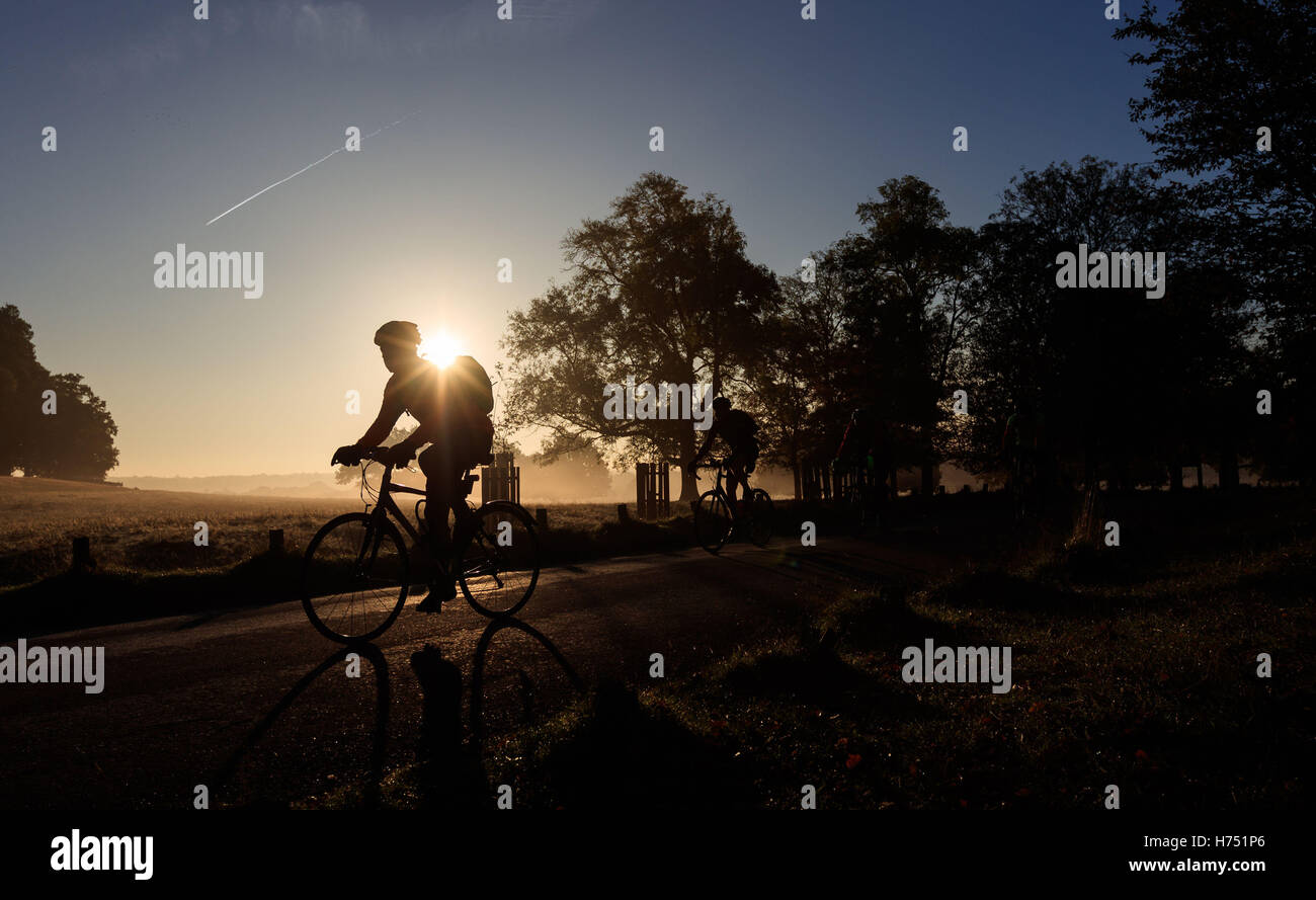 I ciclisti si stagliano come loro cavalcata attraverso il parco di Richmond, Londra. Foto Stock